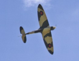 Baz Spitfire